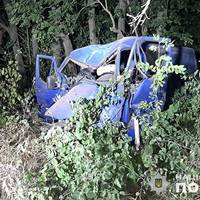 Автомобіль врізався у дерево: постраждала жінка і маленька дитина