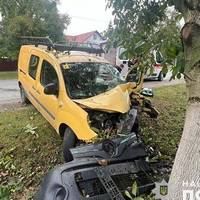 Біля Тернополя водійка врізалася у дерево: жінка загинула