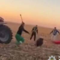 Фермерам, які ганялися за дикими кабанами на Тернопільщині, оголосили про підозру