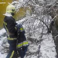 В Чорткові рятувальники спасли собаку з 4-метрової очисної ями