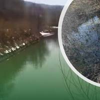 Стічними водами забруднили річку Золота Липа, що на Тернопільщині