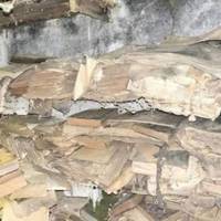 Історичне відкриття: в громаді на Тернопільщині віднайшли старовинний церковний архів з унікальними документами