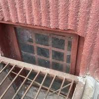 Безпритульних котів замурували в підвалі на вулиці Тарнавського