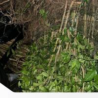 Від Тарнополя до Тернополя