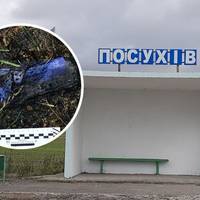 Ревнощі та підпал суперниці у полі. У померлої сиротами залишилися двоє дітей