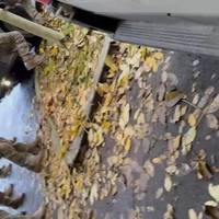 Мaсові зaтримaння відбуваються у Тернополі