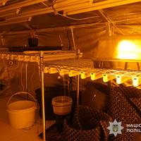 Тістечка з марихуаною: у Тернополі поліцейські в ході масштабної спецоперації затримали двох наркоділків