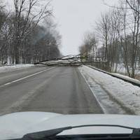 На перехресті біля села Біла дерево перекрило рух у напрямку Львівської траси
