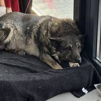 Від Тарнополя до Тернополя