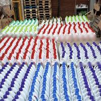 Від Тарнополя до Тернополя