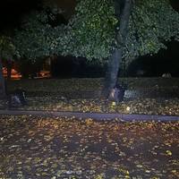 Від Тарнополя до Тернополя